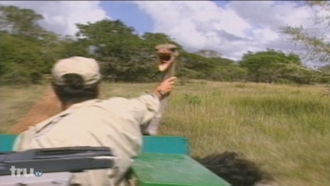clip thumbnail