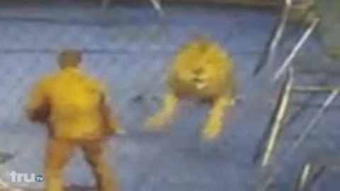 clip thumbnail