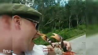 clip thumbnail