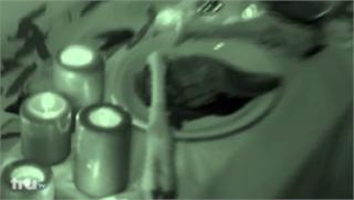 clip thumbnail